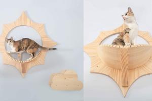 MYZOO Solar Sun Shaped Wall Mounted Floating Cat Perch