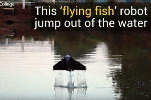This Flying Fish Robot Can Fly Out of Water, Glide Through Air