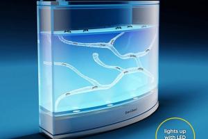 LED Ant Farm for Kids