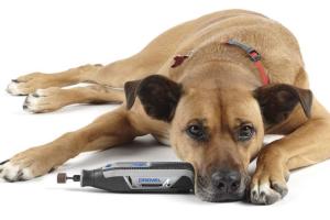 Dremel PawControl Cordless Pet Nail Trimmer
