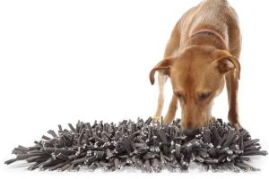 PAW5 Wooly Feeding Mat for Dogs Encourages Natural Foraging