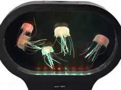 Playlearn Moving Jellyfish Tank with LED Lights
