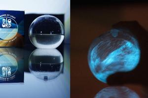 Bio-Orb: Bioluminescent Orb Filled with Microalgae Glows At Night