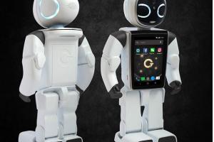 GT Wonder Boy Social Companion Humanoid Robot with AI