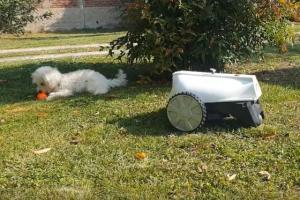 Mora Robotic Mower with AI Requires No Boundary System