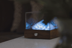 Novatropes: Nature Inspired Electro-Kinetic Optical Illusion Sculptures