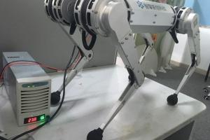 MIT Cheetah Quadruped Robot Clone