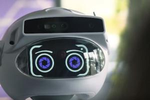 Misty II Robot with Facial Recognition, Navigation, Expansion Backpack for Developers