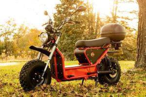 Daymak Beast 2.0 Electric Off-road Scooter