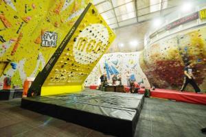 Freestanding MoonBoard for Climb Training