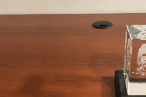 Einstein Hollow Face Illusion Paperweight