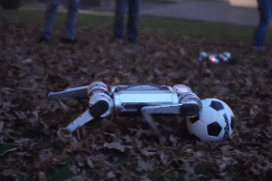 Mini Cheetah Robots Playing Soccer, Doing Backflips