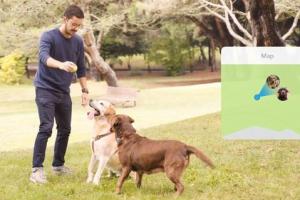 Findster Home Pet Location Tracker