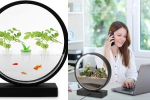 VegeBox Hydroponic LED Indoor Garden