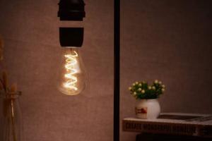 Levitating Light Bulb with Wireless Phone Charger