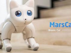 MarsCat: Autonomous Robot Cat with Raspberry Pi