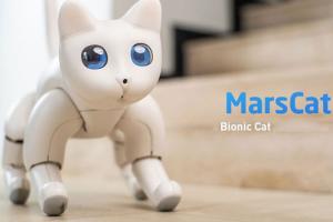 MarsCat: Autonomous Bionic Cat with Raspberry Pi