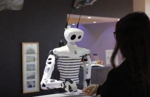 Reachy: Open Source Interactive Robot with Python API