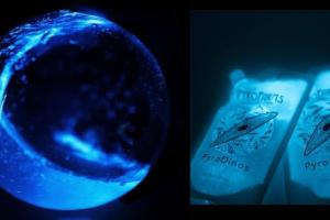 6″ Bioluminescent Bio-Orb Produces Natural Light At Night