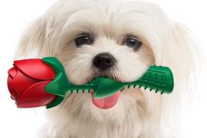 Rose Chew Toy for Dogs