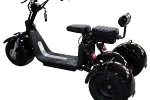 FatBear Fat Grizzly Scooter with 20mi Range