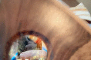 Phantom Kaleidoscope by Steven Gray