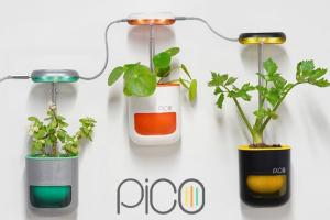 Pico Self-Watering Smart Indoor Garden