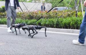 A1 Robot Dog with 11.88km/h Running Speed