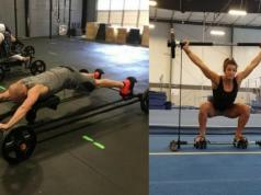 The BullFrog Functional Fitness Trainer