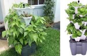 Mr. Stacky Smart Farm: Grow Your Own Food