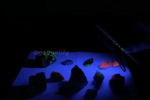 Fluorescent Mineral Rocks with UV Light Kit