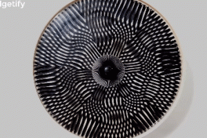 Cosmic Window Optical Illusion Wheel