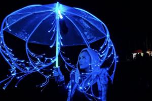 Fiber Optic Lightsaber Umbrella