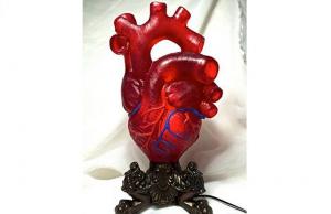 Anatomical Human Heart Lamp