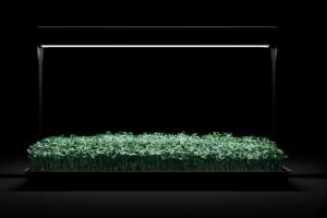 MicroFarm: App Enhanced Indoor Microgreen Garden