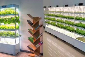 Minifarm Hydroponic Indoor Vertical Garden
