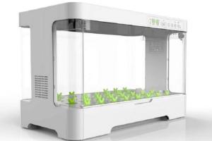 Fully Enclosed Soil-less Garden