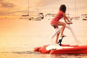 Red Shark Relax Water Bike