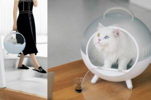 Furrytail Moving Castle Cat Carrier