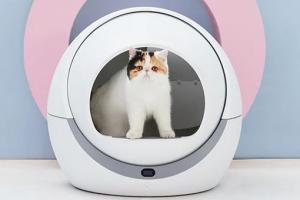 Petree Automatic Self Cleaning Litter Box
