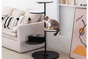 SPRICHIC Cat Activity Tree