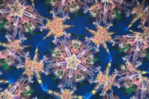 Red Light Bulb Kaleidoscope by Yukinobu Kitamura