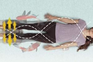 Daiwa Felicity Vitality Swing Machine, Passive Aerobic Exerciser