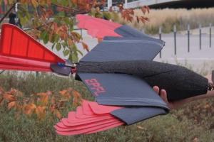 EPFL’s Raptor-inspired Drone with Feathered Wings & Tail