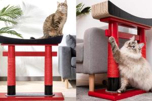 Torii Cat Scratching Tower