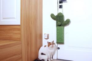 PetnPurr Hanging Cactus Cat Scratcher