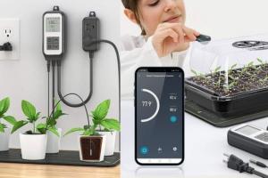 WTESKE WiFi Temperature Controller with Alexa Control