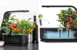 AeroGarden Sprout Indoor Garden