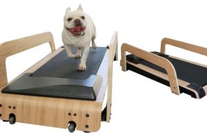 Bliss Indoor Pet & Human Treadmill with Remote