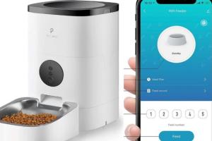 Petlibro App Controlled Cat Feeder